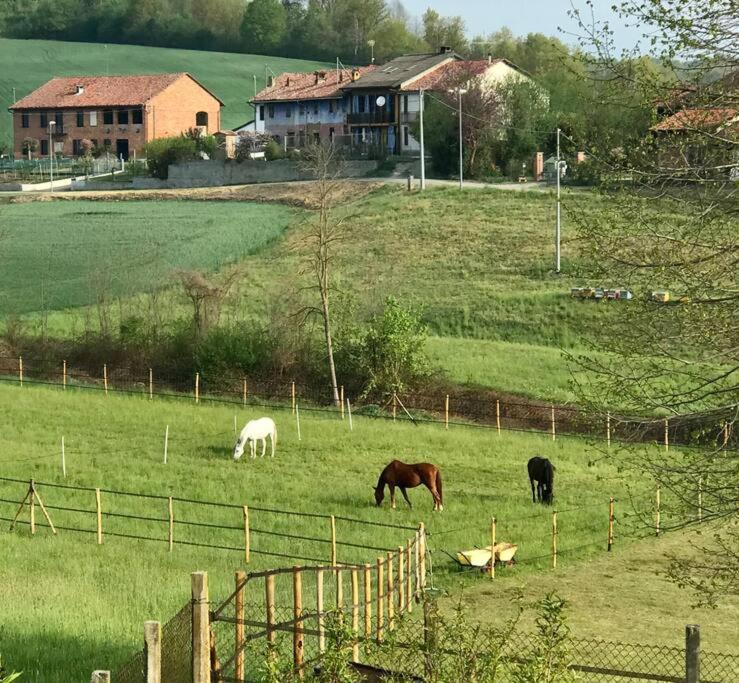 Appartamento In Cascina -La Cascinetta Di Ali- Roatto Ngoại thất bức ảnh